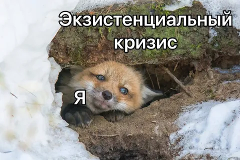 Лисёнок в экзистенциальном кризисе