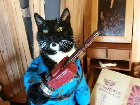 Кот в костюме мушкетёра