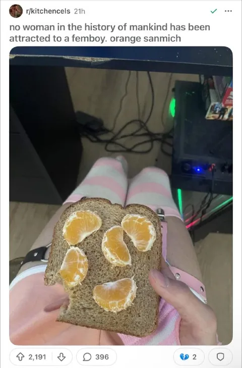 Femboy Orange Samnich
