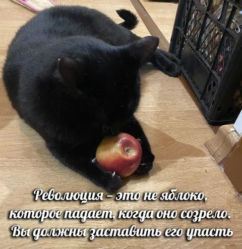 Революция — это не яблоко