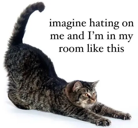 Imagine Hating Me Cat Stretch