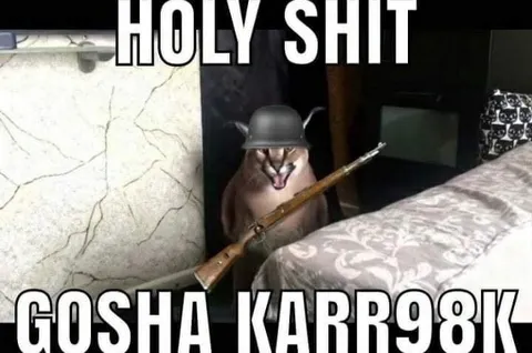 Holy Shit Gosha Karr98k