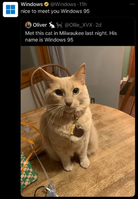 Windows 95 Meets Windows