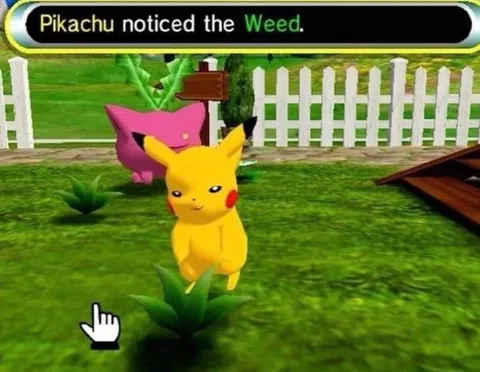 Pikachu Notices the Weed