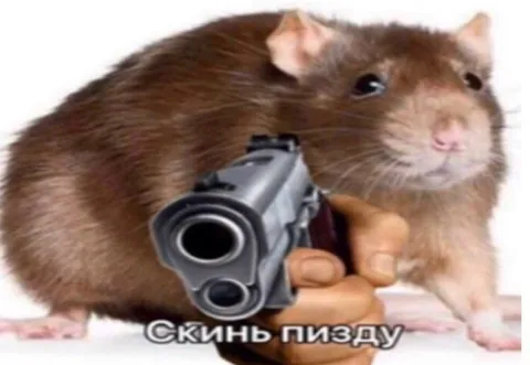 Крыса с пистолетом