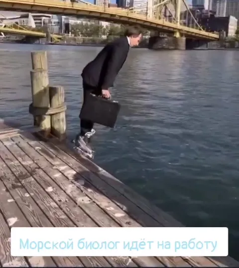 Морской биолог идёт на работу