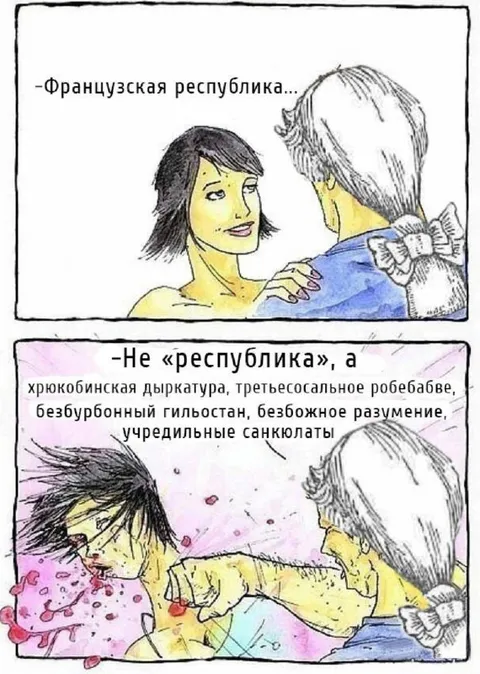 Французская республика по-новому