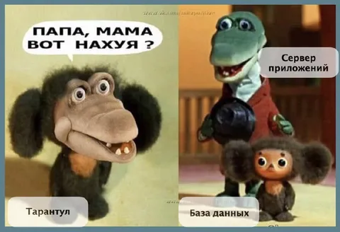 Тарантул и сервер приложений