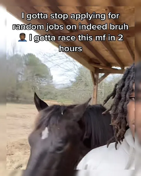 Applying for Random Jobs on Indeed