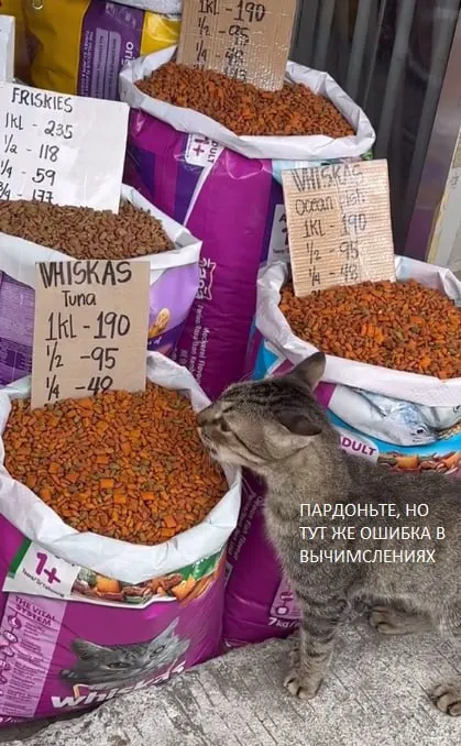 Кот заметил ошибку в ценах