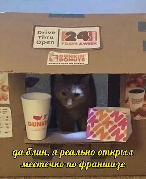 Открыл местечко по франшизе