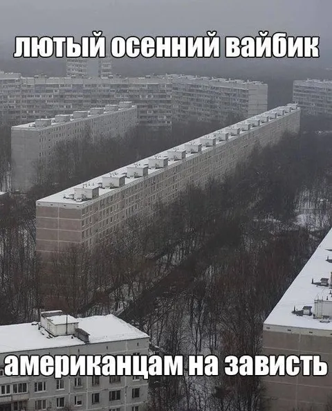 Лютый осенний вайбик
