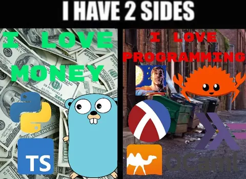 I Have Two Sides Programming Meme