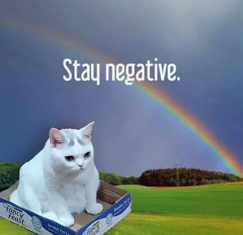 Stay Negative Cat