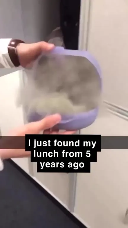 Lunch From Five Years Ago