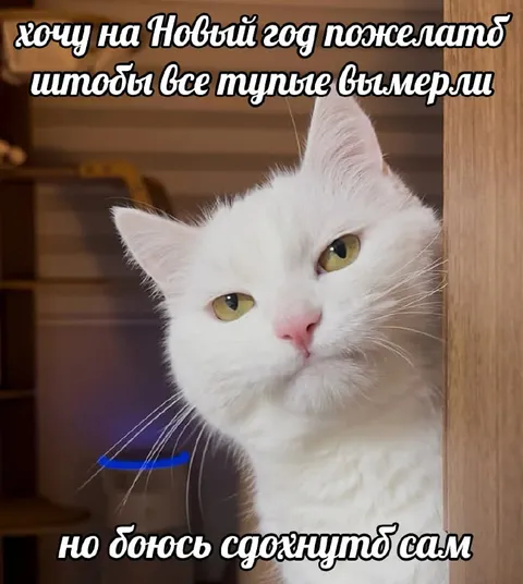 Кот желает вымирания тупых