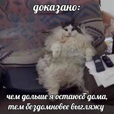 Чем дольше дома, тем бездомнее