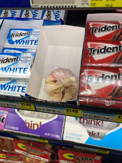 Garlic Hidden Among the Gum