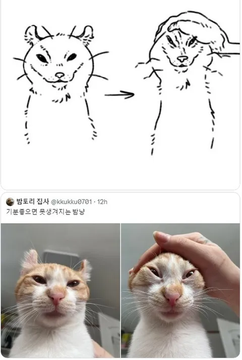 기분 좋으면 못생겨지는 고양이
