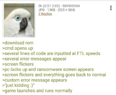 Parrot Runs a Suspicious Game