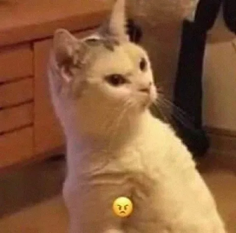 Сердитый кот с эмодзи
