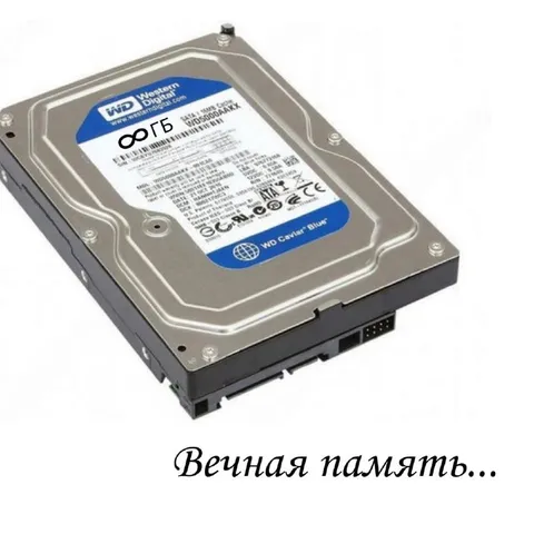 Вечная память на жёстком диске