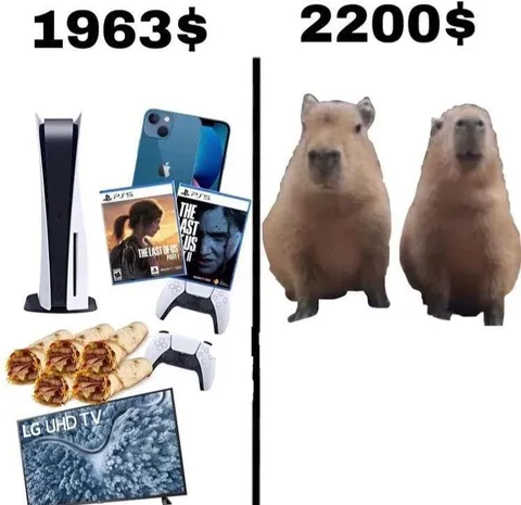 Expensive Setup, Priceless Capybaras