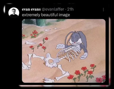 Extremely Beautiful Image