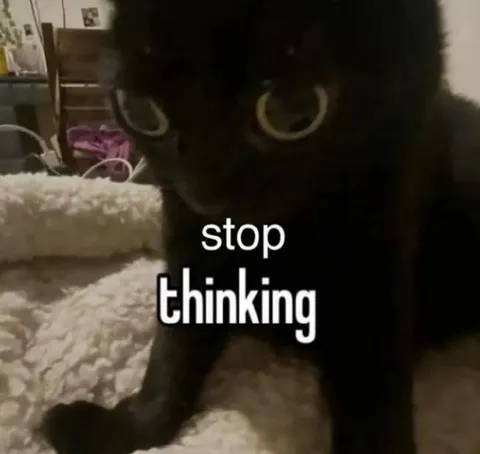 Stop Thinking Cat