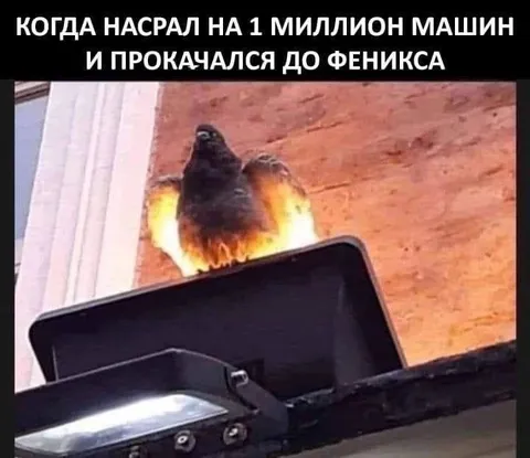 Прокачался до Феникса