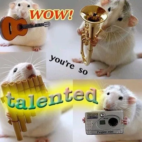 Talented Musical Mice