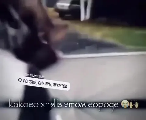 Лоси на улице в Иркутске