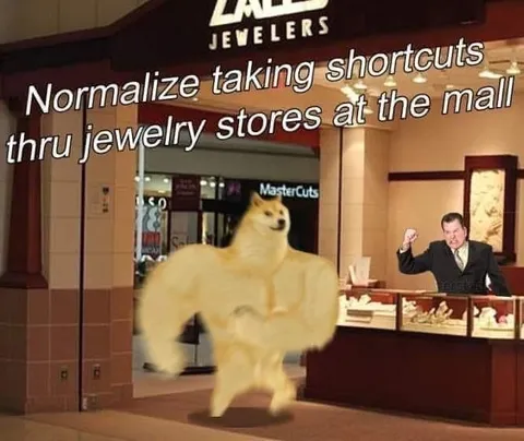 Doge Takes a Jewelry Store Shortcut