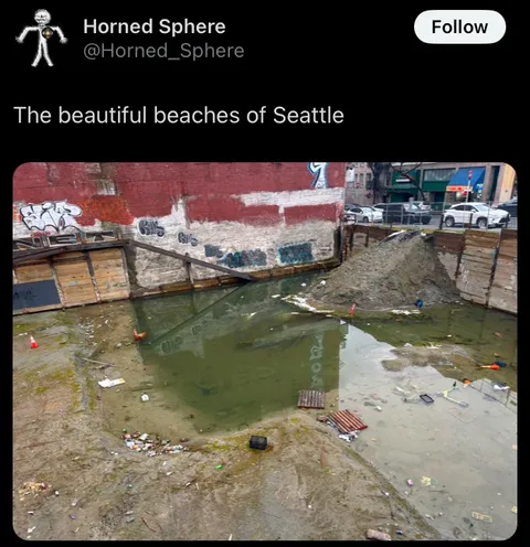 The Beautiful Beaches of Seattle