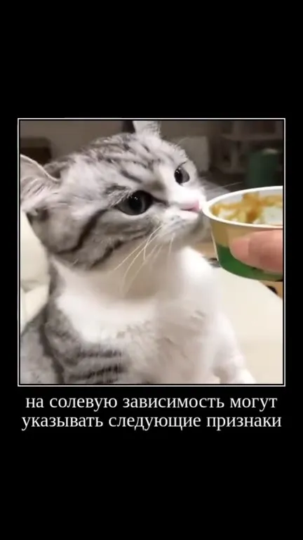 Солевого наркомана распознать легко