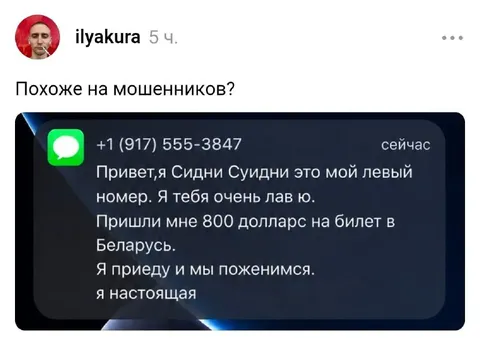 Сидни Суидни просит 800 долларов