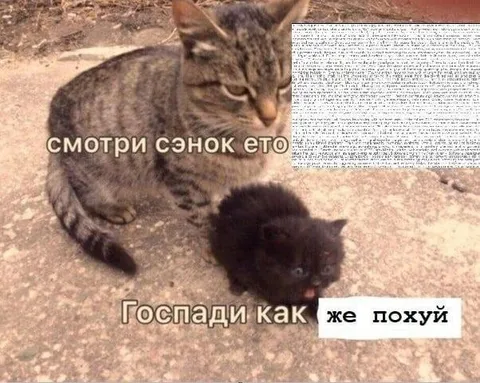 Смотри, Сэнок, это госпади