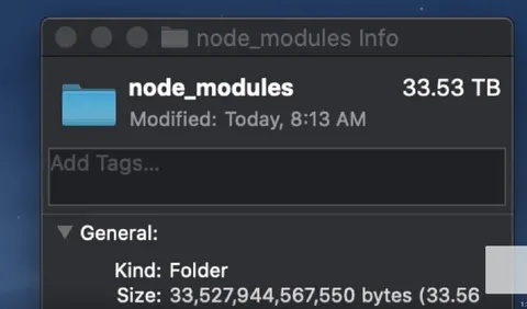33 Terabyte node_modules Folder