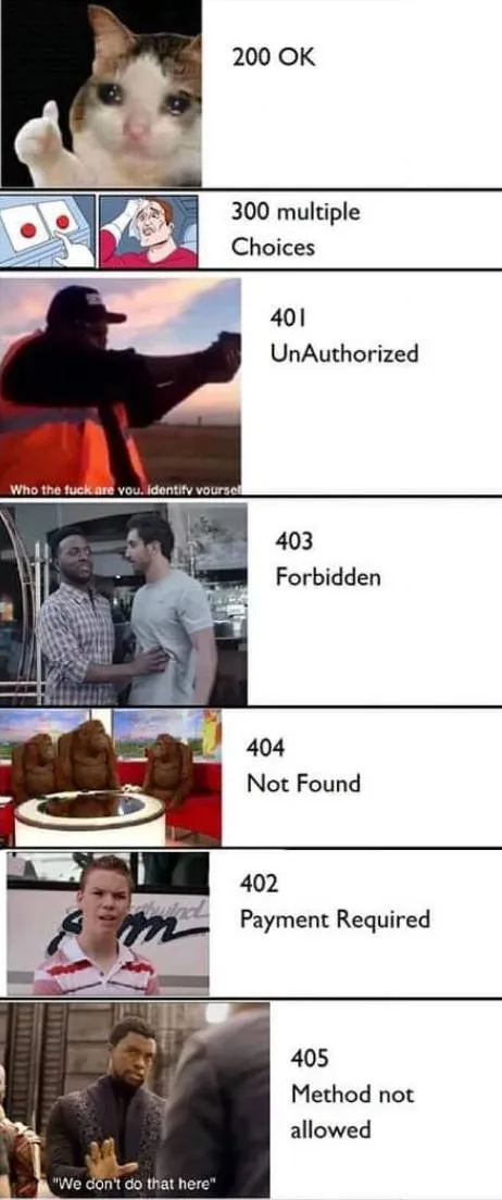 HTTP Status Codes Explained by Memes