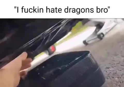 I Fuckin Hate Dragons Bro