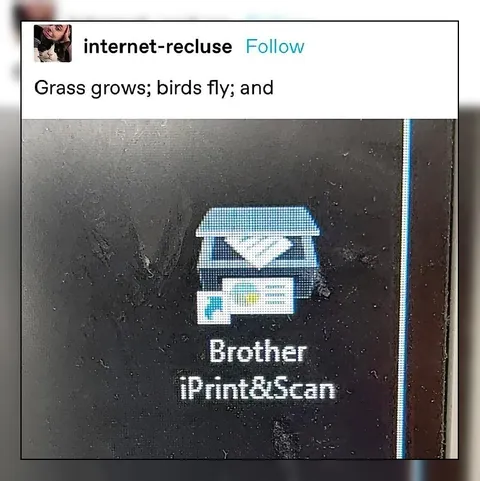 Grass Grows Birds Fly Brother Prints