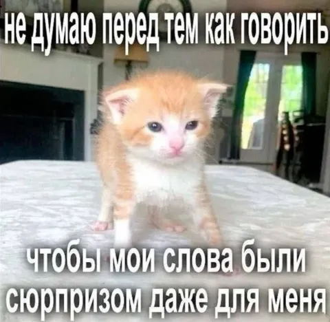 Слова-сюрприз даже для меня