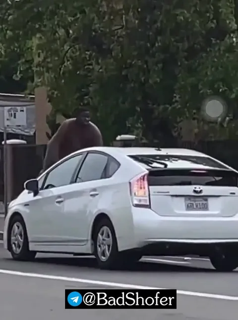 Пассажир на крыше Prius