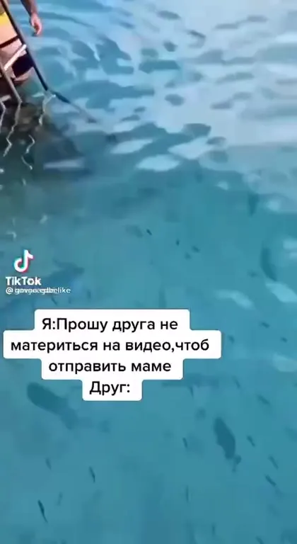 Друг нырнул к акулам