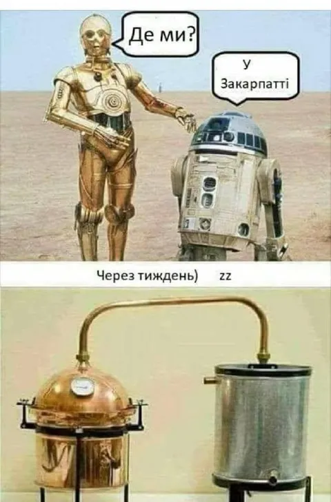 Де ми? У Закарпатті