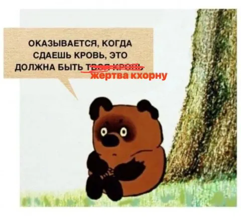 Когда сдаёшь кровь