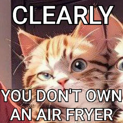 Clearly You Don't Own an Air Fryer