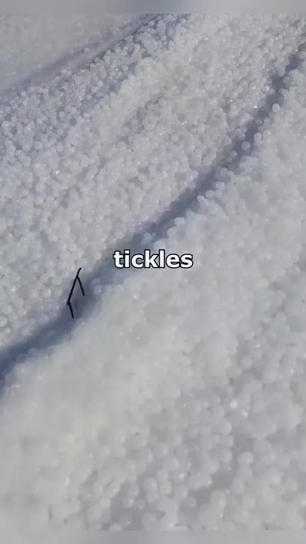 I'm Not Sure It Tickles