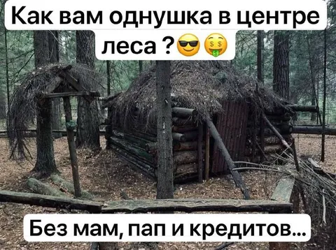 Избушка в центре леса без кредитов