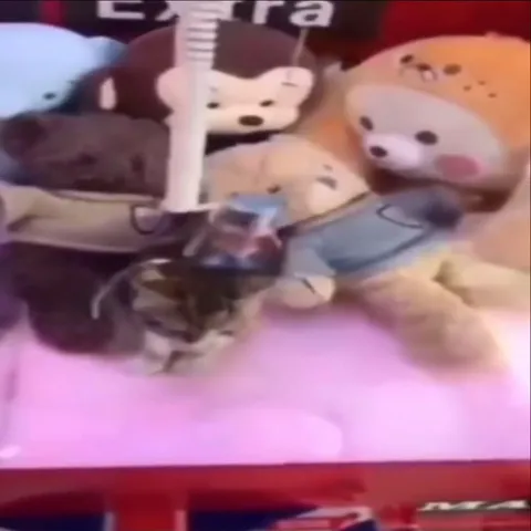 Мышь среди плюшевых игрушек